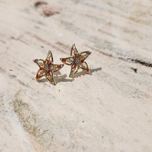 𝅺STAR 🌟 gold filled earrings